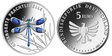 5 € - Gebänderte Prachtlibelle - Stgl. mit Leuchtturm Münzkapsel